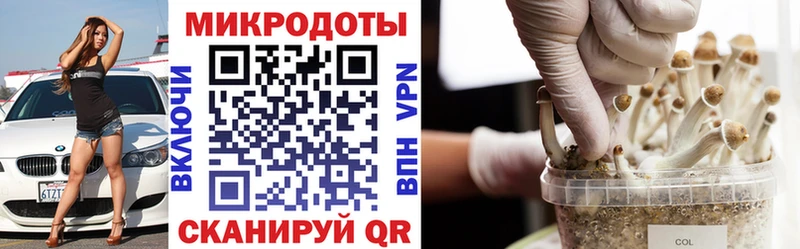 где продают   Бийск  гидра ссылки  Псилоцибиновые грибы мицелий 